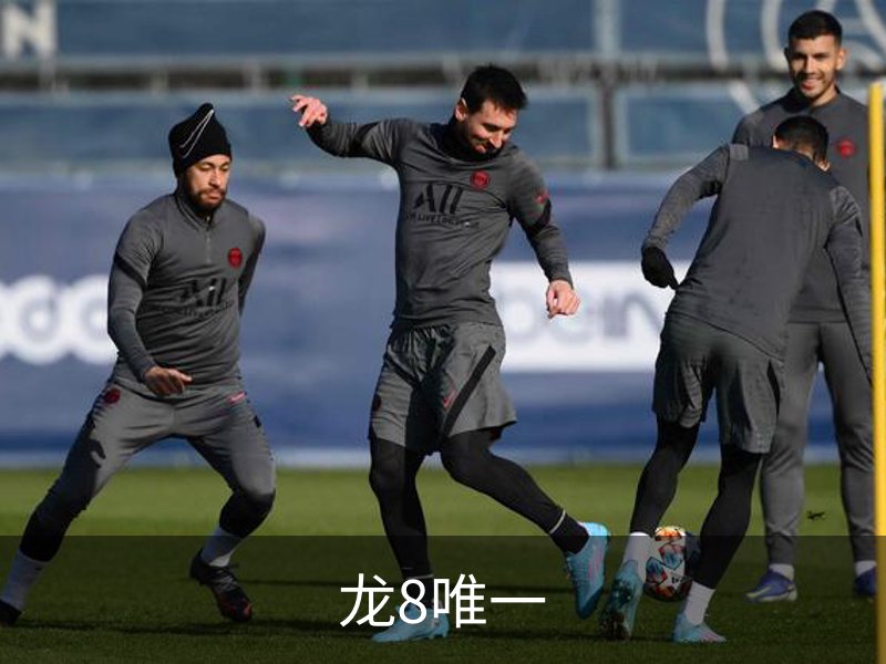 龙8唯一简介
